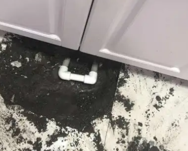 玛纳斯查漏水哪家好